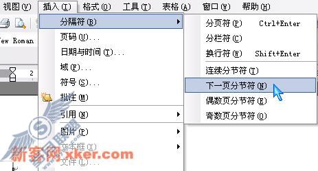 同一篇文档中插入相同页码的技巧