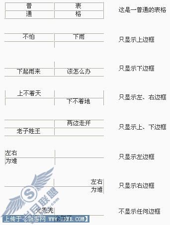 单元格