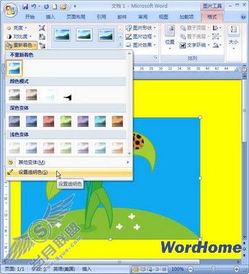 Word 2007ĵͼƬ͸ɫ