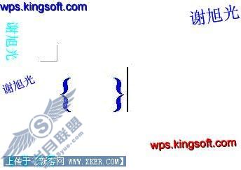 在WPS下实现用域真正分数输入技巧