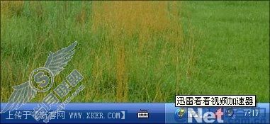 比PPLive爽 迅雷看看桌面版体验