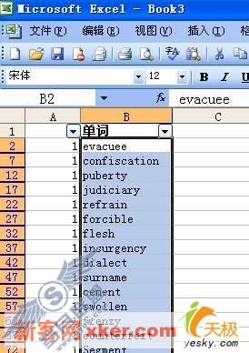 Excel