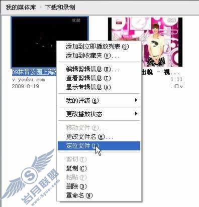 使用RealPlayer轻松下载网络视频