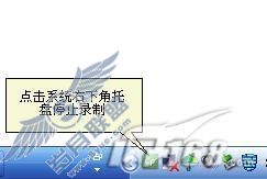 专业屏幕录制软件：AdobeCaptivate3(2)