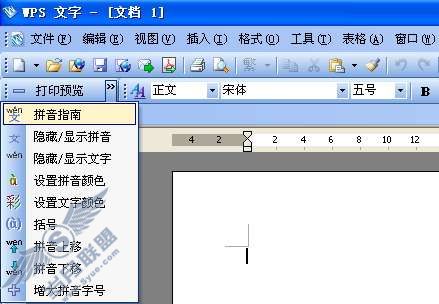 WPS文字中拼音指南插件的安装与使用【图】_