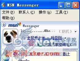 msn