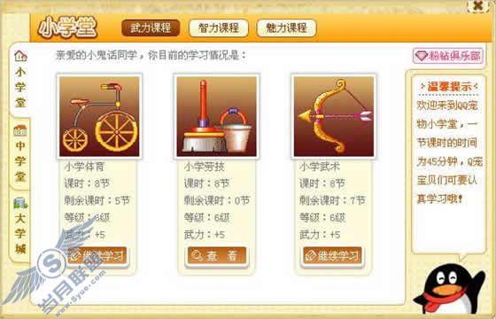 QQ宠物企鹅几级才能学习宠物课程呢？【图】_