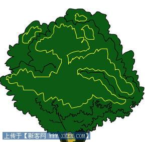 矢量大树图