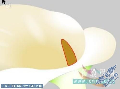 马蹄莲制作过程