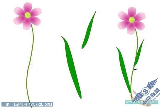 鼠绘花草