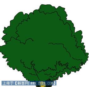 矢量大树图