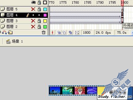 用Flash制作电影胶片循环播放模拟效果(3)