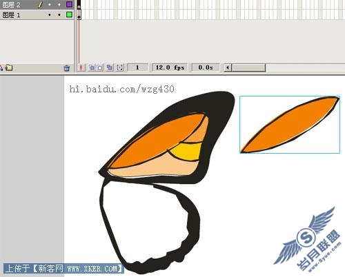 蝴蝶