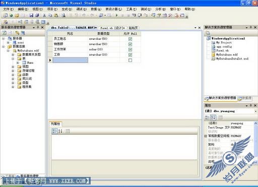 用VB.net2008编写数据查询窗体