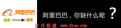 电子商务2.0时代:阿里巴巴缺的是什么? -尼诗 - t时代