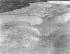 3tu4.jpg (13469 bytes)