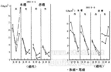 t0608.gif (5121 bytes)