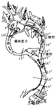 990309t1.gif (4753 bytes)