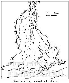 990304t5.gif (4464 bytes)