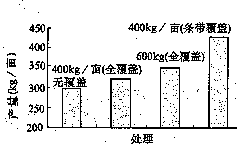 slxb98-50.GIF (1994 bytes)