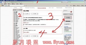 合肥SEO分析SQL频道