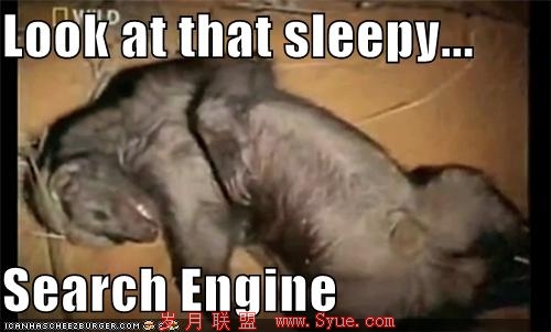 that sleepy ass honey badger