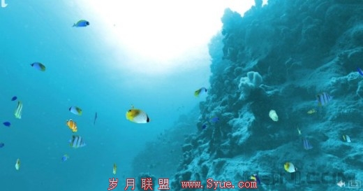 分享14个能帮助你打发无聊时光的网站 gbin1.com