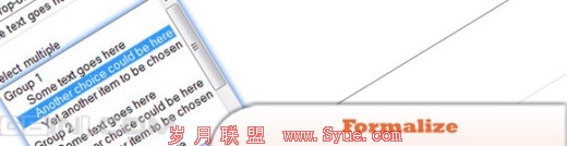 分享10个最好的jQuery表单插件 gbin1.com
