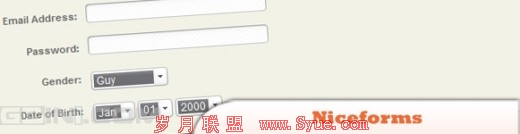 分享10个最好的jQuery表单插件 gbin1.com