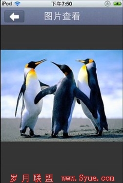 phpwind<a href=http://www.syue.com/Digital/Mobile/ target=_blank class=infotextkey>手机</a>客户端正式版最新演示视频曝光