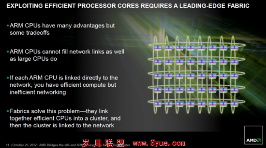 AMD将于2014年推出基于ARM的皓龙处理器 图片
