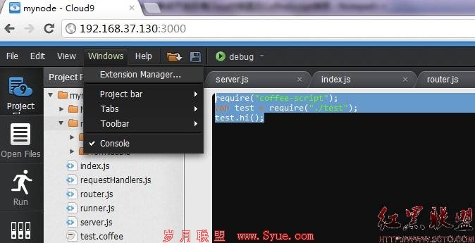 ExtensionManager