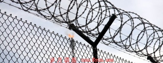 卡巴斯基发布十大最易受攻击产品:Adobe占半