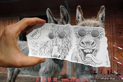 Delphi判断网络链接 - InSun - Minghacker is Insun Delphi判断网络链接 - InSun - Minghacker is Insun