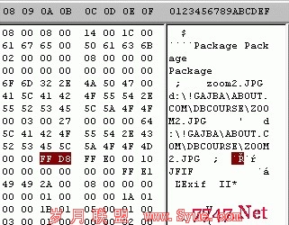 Jpeg as OLE object binary file