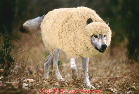 Websense发布2013安全威胁预测报告