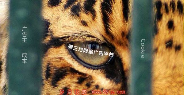 网络广告平台窘境:深陷低迷期 精准营销被夸大
