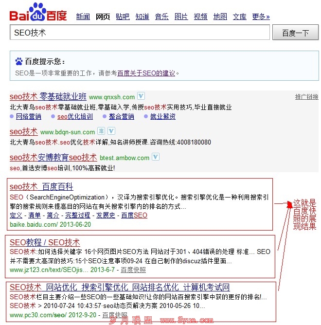 搜索SEO技术,截图百度快照的展现结果页