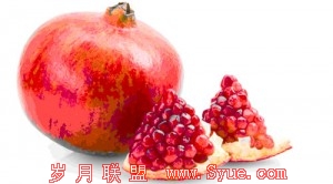 石榴算法