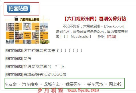 首页栏目版块