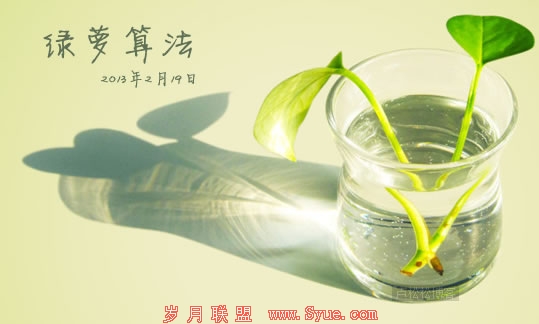 卢松松:也来谈谈百度绿萝算法2.0版