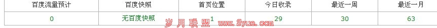网站快照