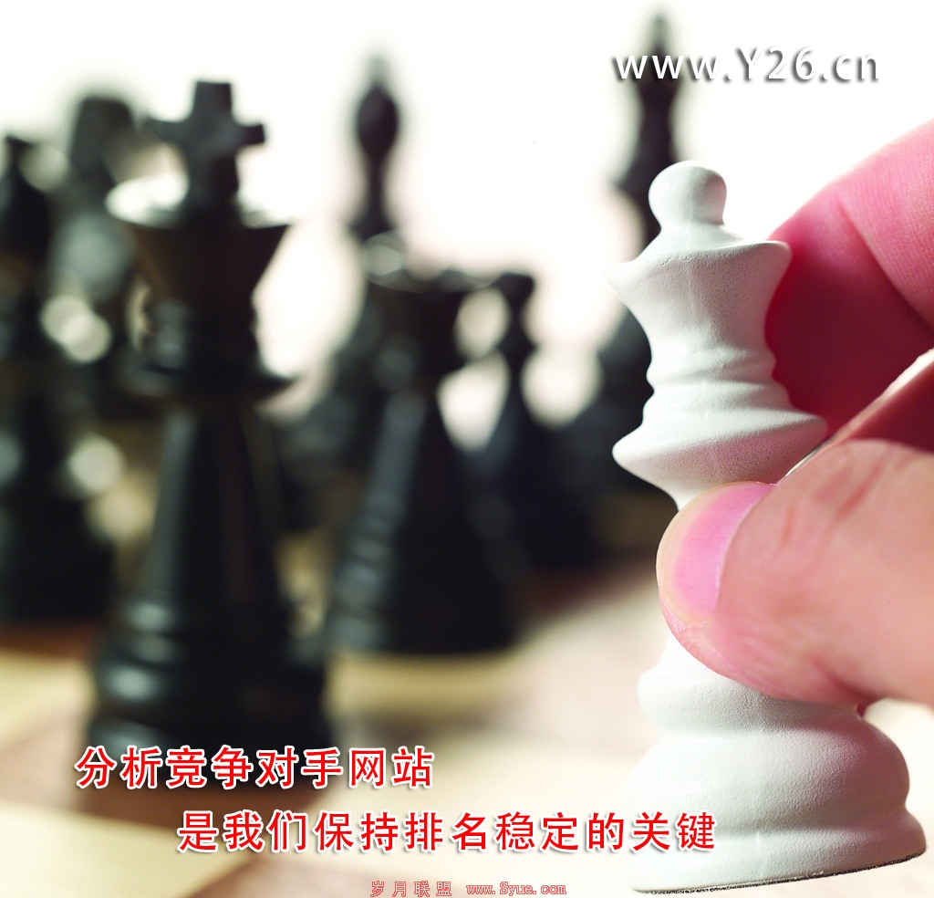 分析对手网站信息