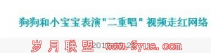内部链接