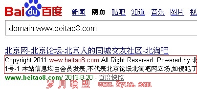 domain结果