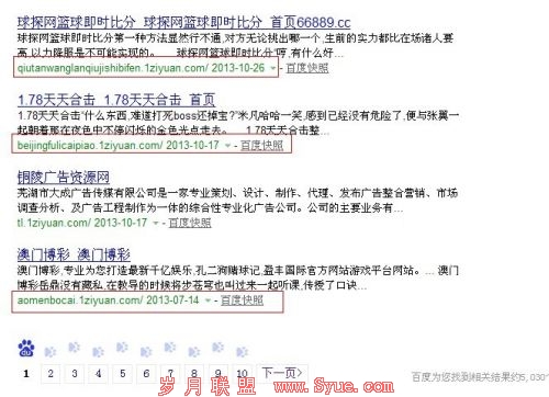 网站被黑导致泛解析生成大量二级域名