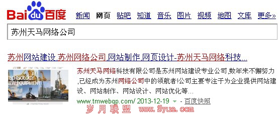 百度搜索结果“天马网络公司”截图