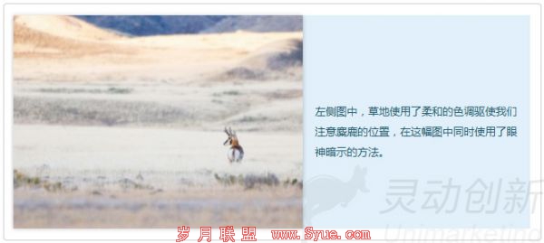 提高转化率的7种着陆页设计技巧