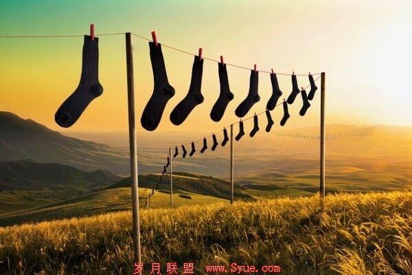 【谁在创业】男人袜:垂直电商都不景气,卖袜子的凭什么“硬挺”?