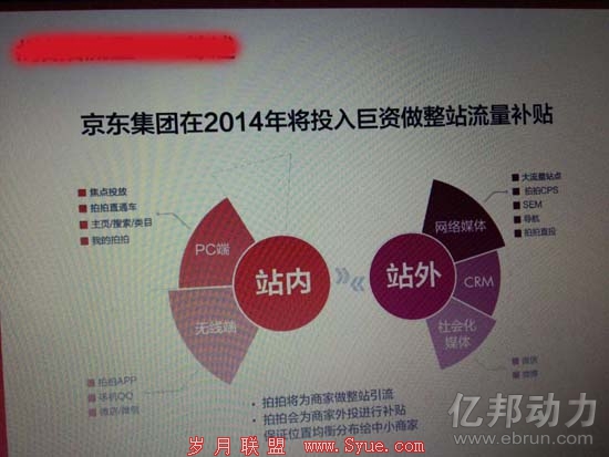 拍拍网招商